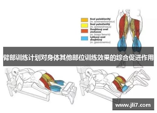 臂部训练计划对身体其他部位训练效果的综合促进作用